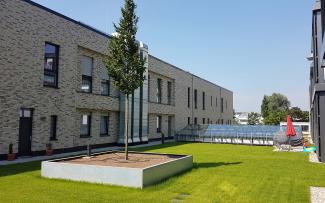 Green roof with lan and a tree